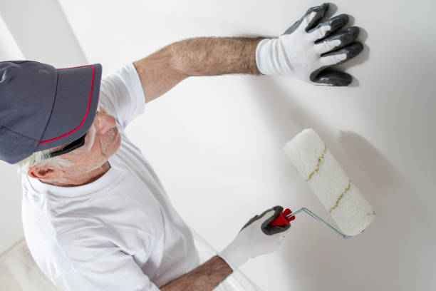 Best Mold-Related Health Consultation  in Allen Park, MI