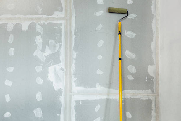 Best Comprehensive Air Testing for Mold Contaminants  in Allen Park, MI