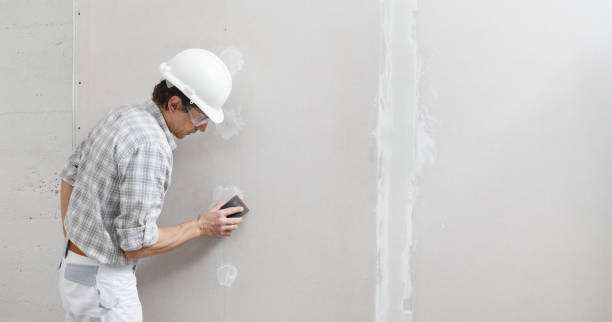 Best Real Estate Mold Inspection  in Allen Park, MI