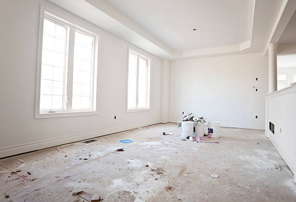 Allen Park, MI Mold Removal Company