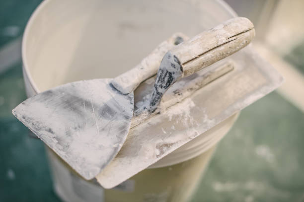 Best Mold Remediation for Healthcare Facilities  in Allen Park, MI